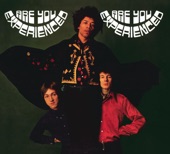 Are You Experienced artwork