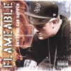 Flameable - Anything Can Happen
