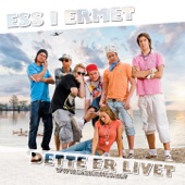 Dette Er Livet (Instrumental) artwork