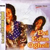 The Best of Evi-Edna Ogholi