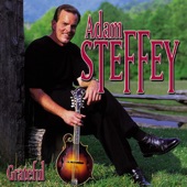 Steffey, Adam - Leaves That Are Green