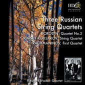 String Quartet No. 2 in D Major: IV. Finale, Andante - Vivace artwork