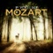 Concerto in E-Flat Major for Trumpet and Orchestra, Hob. VIIe: II. Andante artwork