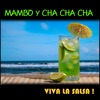 Mambo Y Cha Cha Cha, Viva La Salsa !