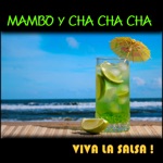 Mambo Y Cha Cha Cha