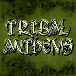 Tribal Anthems (The Best House Music Tribal Anthems) by Various Artists album reviews, ratings, credits