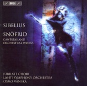 Osmo Vänskä, Anu Airas, Ilkka Palli & Pekka Kauppinen - Andante Festivo (version for String Orchestra): Andante Festivo, JS 34b, (revised Version for Strings and Timpani)