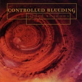 Controlled Bleeding - Fire Inside (Slow Dub Mix)