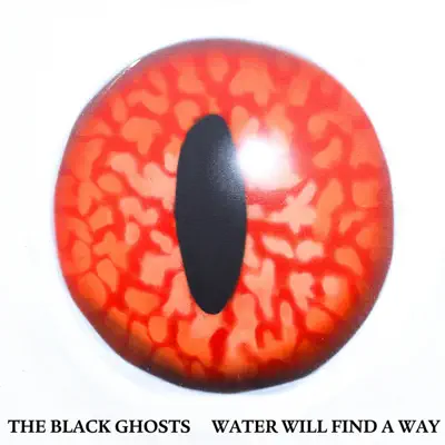 Water Will Find a Way (Remixes) - EP - The Black Ghosts
