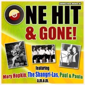 Hang On Sloopy (Re-recorded) artwork