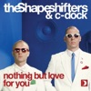 Nothing But Love for You (Original Mix) - Single