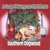 Silent Night - Southern Dogwood