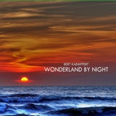 Wonderland By Night artwork