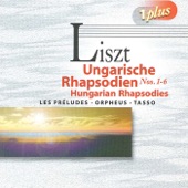 19 Hungarian Rhapsodies, S244/R106 (arr. F. Doppler): No. 3 in B flat major artwork