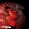 Valgeir Sigurðsson - Kin