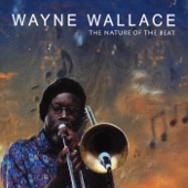 The Nature of the Beat artwork