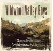 Wildwood Valley Boys - The Spirit Of America