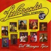 Los Grandes Exitos del Merengue Tipico Vol. 3