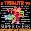 A Tribute To Glee: Super Gleek