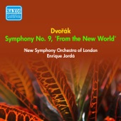 Symphony No. 9 in E minor, Op. 95, B. 178, "From the New World": IV. Allegro con fuoco artwork