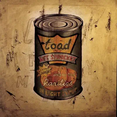 In Light Syrup - Toad The Wet Sprocket