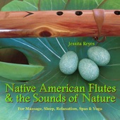 NATIVE AMERICAN FLUTES & SOUNDS OF NATURE (Relaxing Native American Flute & Nature Sounds for Massage, Sleep, Spas & Yoga) artwork