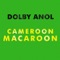 Cameroon - Dolby Anol lyrics