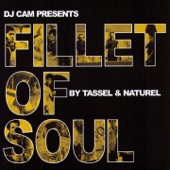 Fillet of Soul artwork