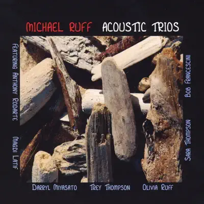 Acoustic Trios - Michael Ruff