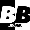 Big Beat Spring 2011