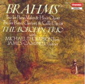 Brahms: Horn Trio / Clarinet Trio artwork