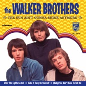The Sun Ain't Gonna Shine Anymore by The Walker Brothers