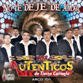 Cartel De Tierra Caliente artwork