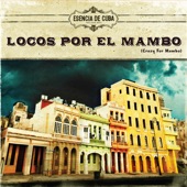 El Mambo Me Priva artwork