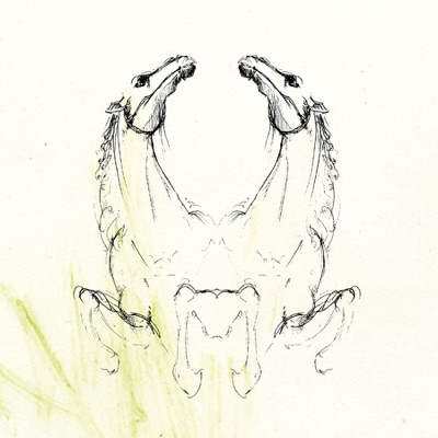 Tear It Down - My Brightest Diamond