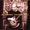 Derek Trucks Band - The Derek Trucks Band - Out of Madness