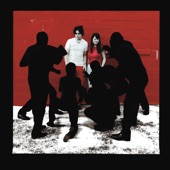 The White Stripes - This Protector