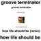How Life Should Be (Remix) - Groove Terminator lyrics