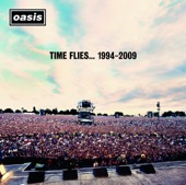 Time Flies... 1994-2009 (Deluxe Version) artwork