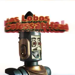 Colossal Head - Los Lobos