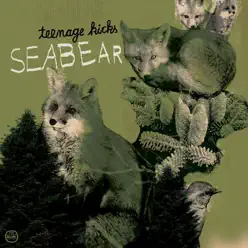 Teenage Kicks / Piano Hands - Single - Seabear Teenage Kicks / Piano Hands - Single - Seabear