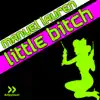 Stream & download Little Bitch