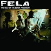 Fela Kuti - Gentleman (Edit Version)