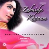 Digital Collection, Vol. 2 (Punjabi)