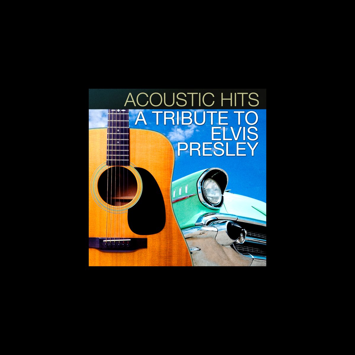 ‎acoustic Hits A Tribute To Elvis Presley By Lacey And Sara On Apple Music