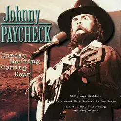 Sunday Morning Coming Down - Johnny Paycheck