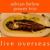 Adrian Belew - Drive