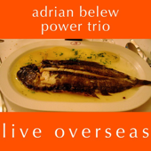 Live Overseas - Adrian Belew