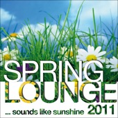 Spring Lounge 2011 (Sounds Like Sunshine) artwork