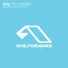 The Wonder (Original Mix) song lyrics